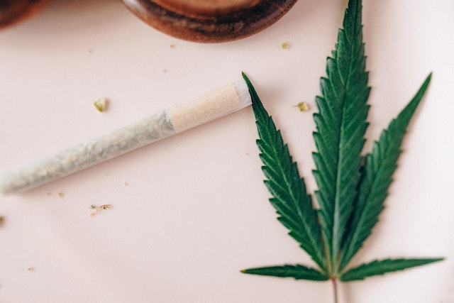 a single marijuana leaf and a rolled joint of medical cannabis